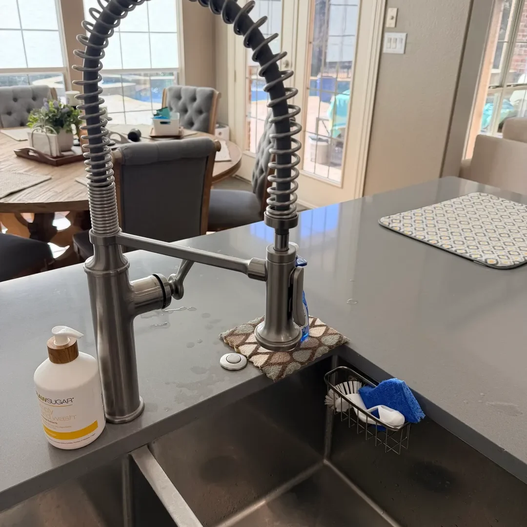 Modern kitchen faucet with flexible spring design and dual handles.